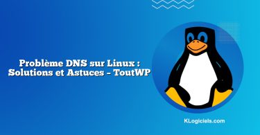 Problème DNS sur Linux : Solutions et Astuces – ToutWP