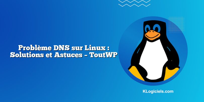 Problème DNS sur Linux : Solutions et Astuces – ToutWP